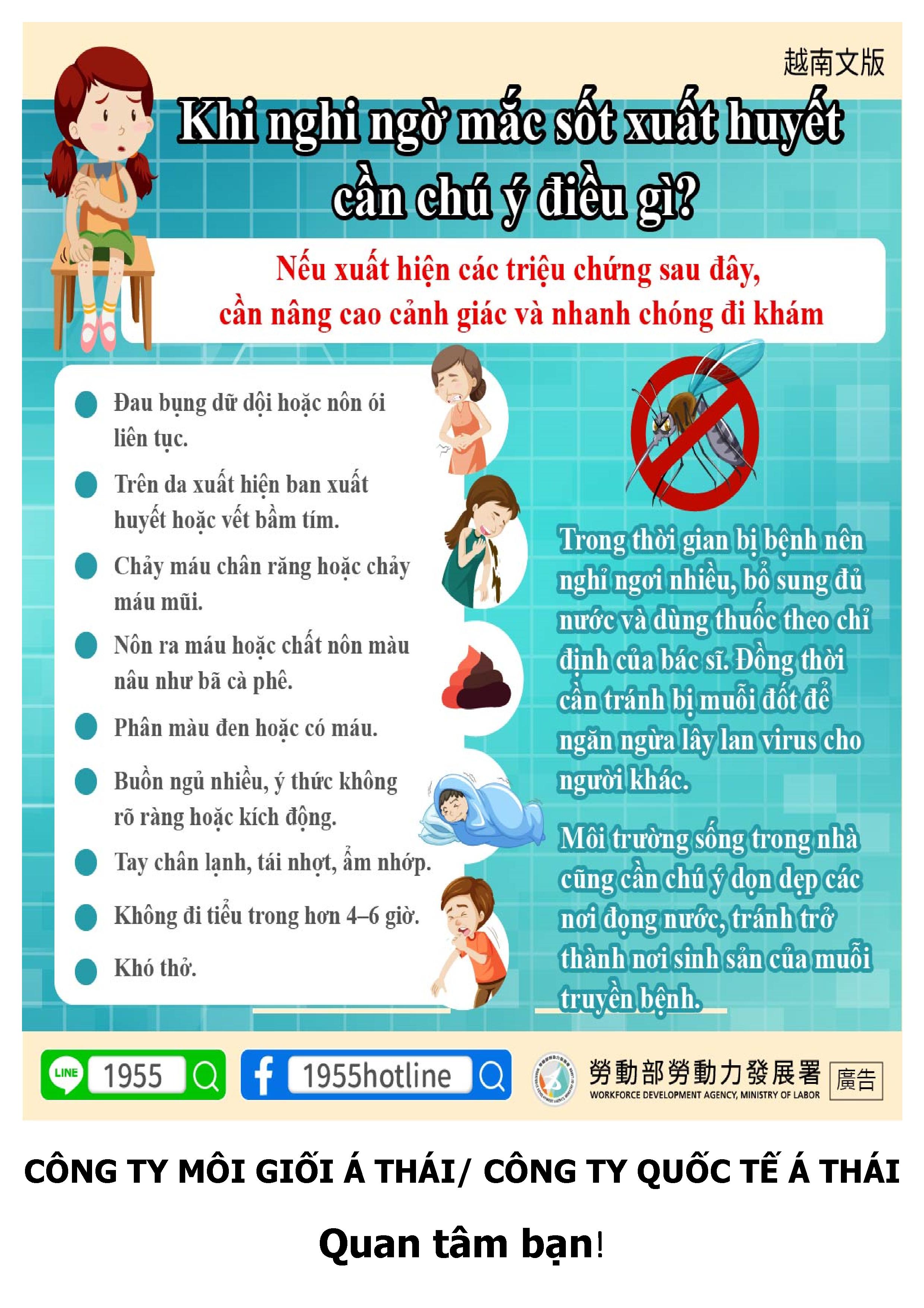 疑似登革熱要注意什麼？越